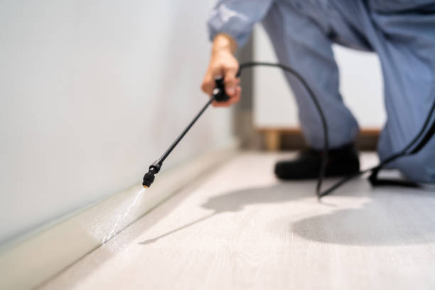 Licensed Pest Control service in Chester, WV - Show Me Pest Control