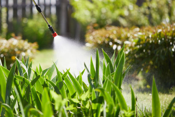 Tamper-Resistant Bait Stations for Rodents in Chester